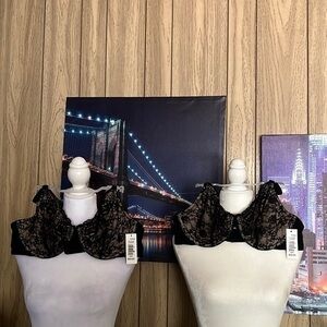 Blake & Co Black Underwire Push Up Bras Size 38C